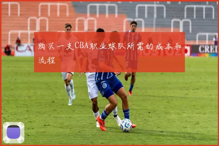 购买一支CBA职业球队所需的成本和流程