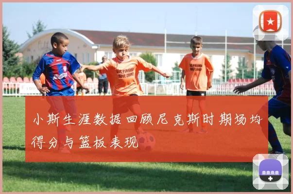 小斯生涯数据回顾尼克斯时期场均得分与篮板表现