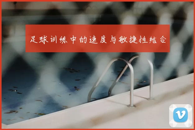 足球训练中的速度与敏捷性结合