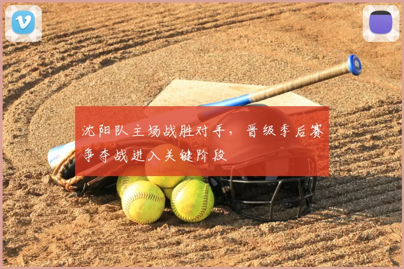 沈阳队主场战胜对手，晋级季后赛争夺战进入关键阶段