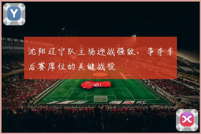 沈阳辽宁队主场迎战强敌，争夺季后赛席位的关键战役
