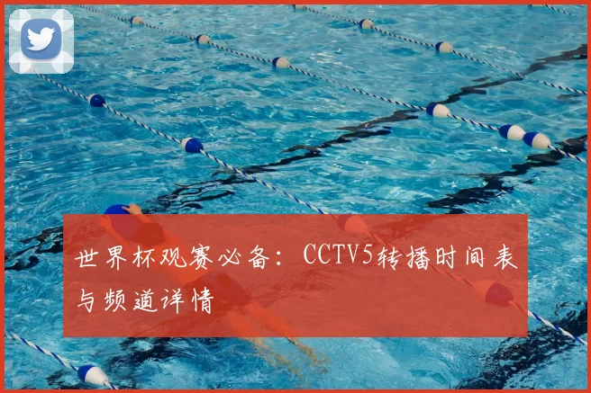世界杯观赛必备:CCTV5转播时间表与频道详情