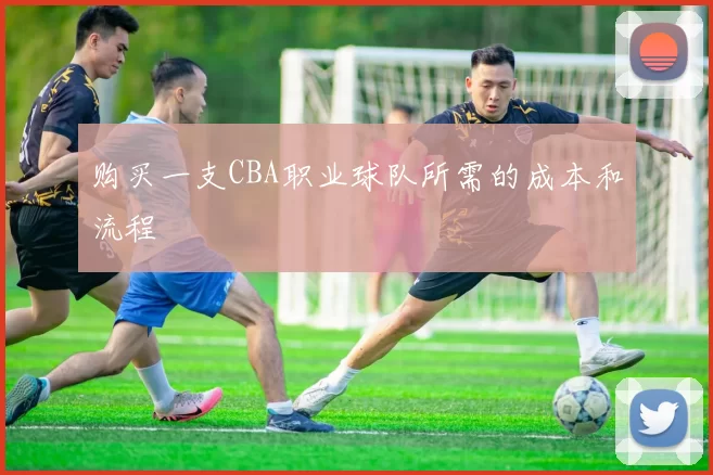 购买一支CBA职业球队所需的成本和流程