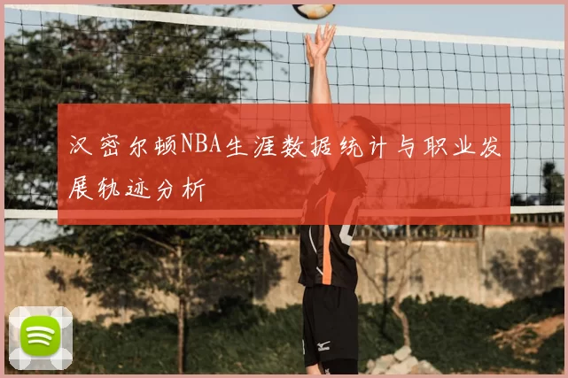 汉密尔顿NBA生涯数据统计与职业发展轨迹分析
