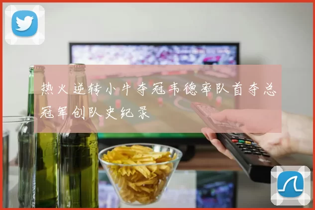 热火逆转小牛夺冠韦德率队首夺总冠军创队史纪录