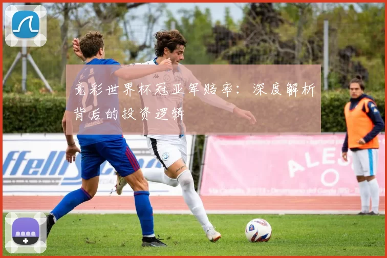 竞彩世界杯冠亚军赔率：深度解析背后的投资逻辑
