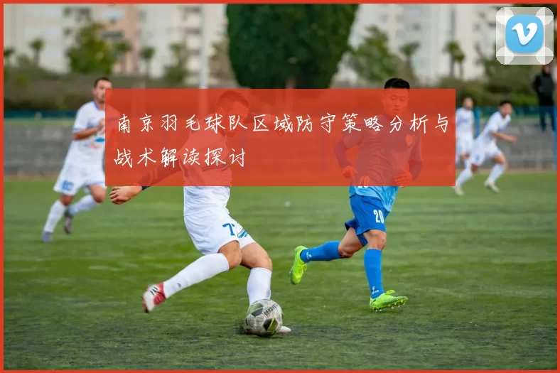 南京羽毛球队区域防守策略分析与战术解读探讨