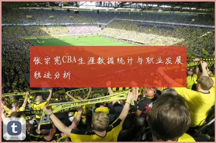 张宗宪CBA生涯数据统计与职业发展轨迹分析