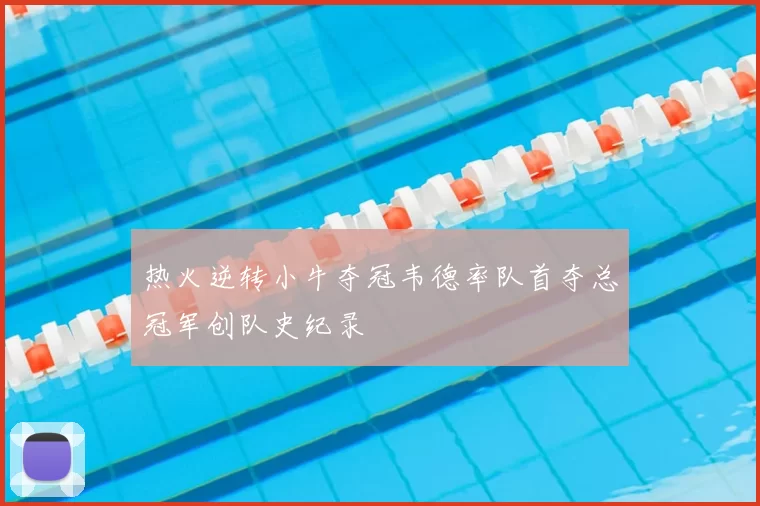热火逆转小牛夺冠韦德率队首夺总冠军创队史纪录