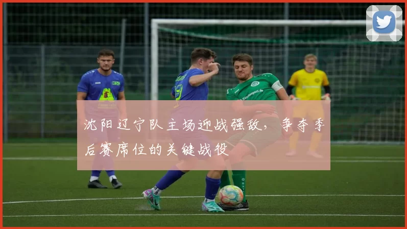 沈阳辽宁队主场迎战强敌，争夺季后赛席位的关键战役